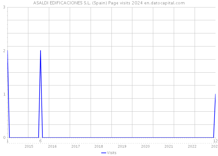 ASALDI EDIFICACIONES S.L. (Spain) Page visits 2024 