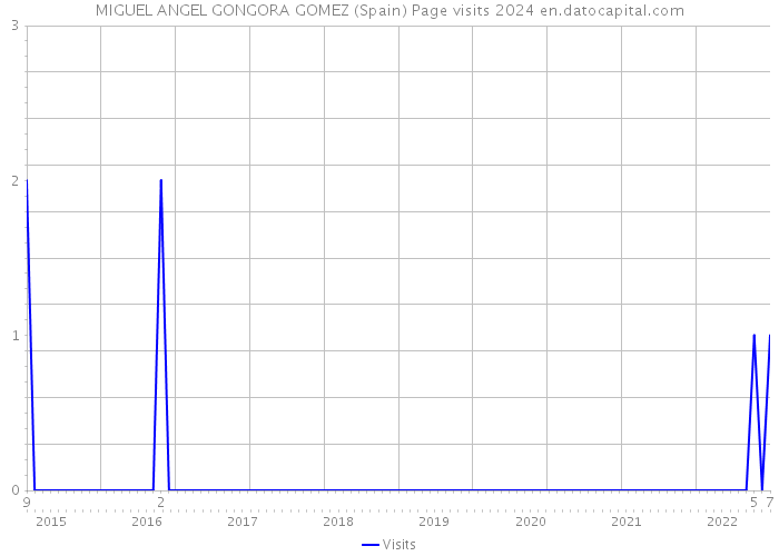 MIGUEL ANGEL GONGORA GOMEZ (Spain) Page visits 2024 