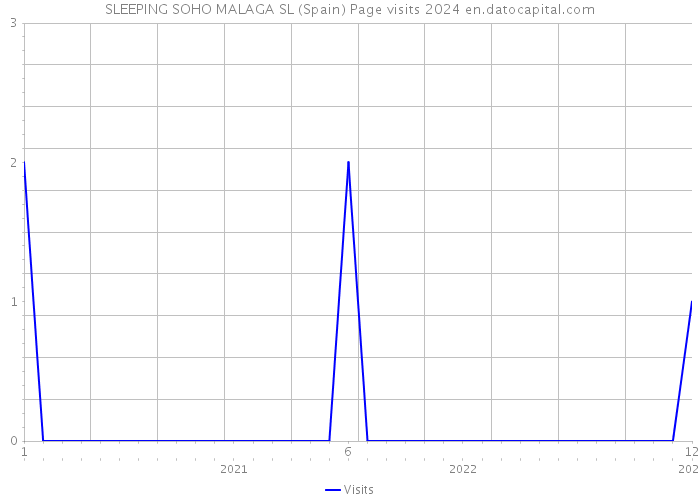SLEEPING SOHO MALAGA SL (Spain) Page visits 2024 