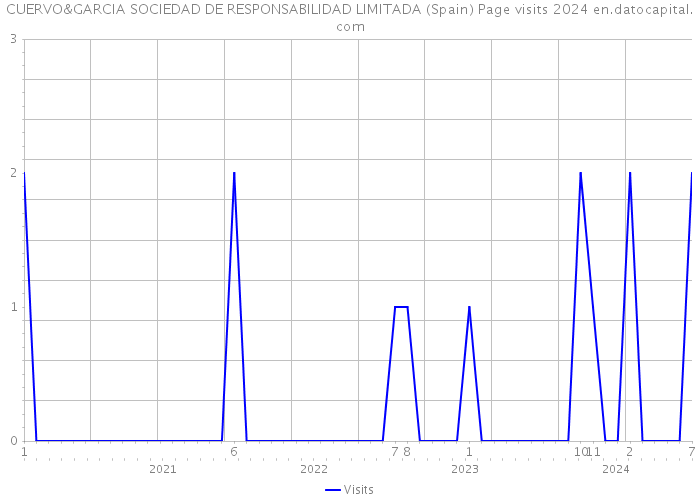 CUERVO&GARCIA SOCIEDAD DE RESPONSABILIDAD LIMITADA (Spain) Page visits 2024 