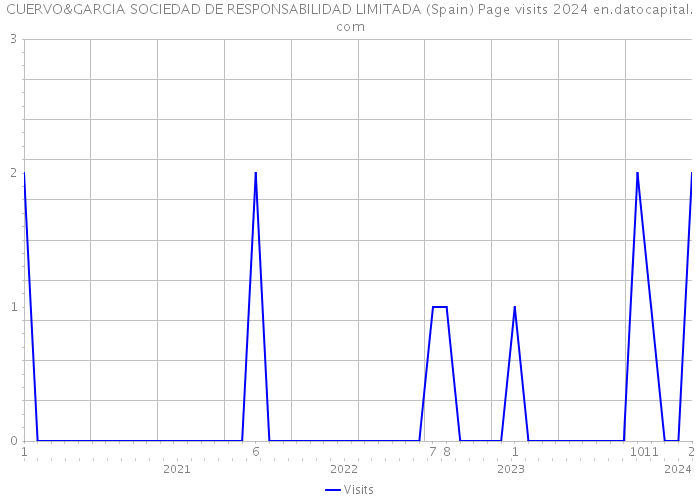 CUERVO&GARCIA SOCIEDAD DE RESPONSABILIDAD LIMITADA (Spain) Page visits 2024 