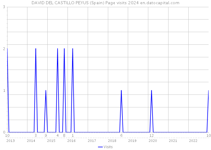 DAVID DEL CASTILLO PEYUS (Spain) Page visits 2024 