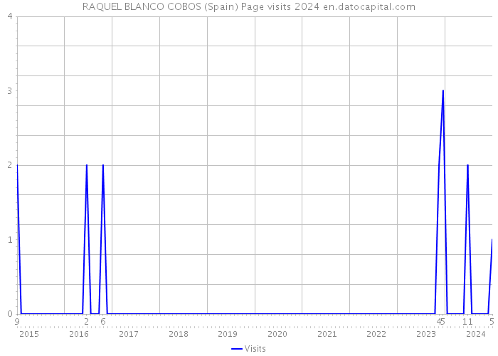 RAQUEL BLANCO COBOS (Spain) Page visits 2024 