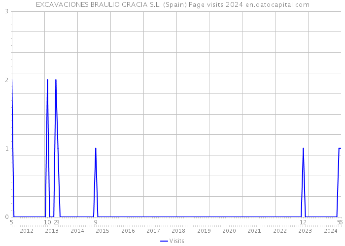 EXCAVACIONES BRAULIO GRACIA S.L. (Spain) Page visits 2024 