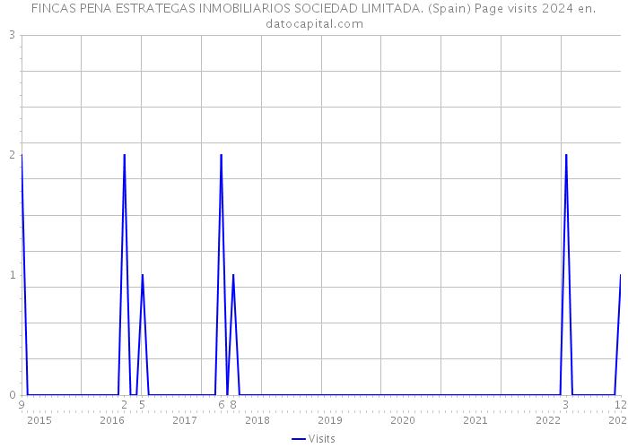 FINCAS PENA ESTRATEGAS INMOBILIARIOS SOCIEDAD LIMITADA. (Spain) Page visits 2024 