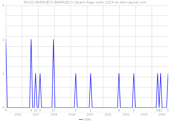 ROCIO BARRUECO BARRUECO (Spain) Page visits 2024 