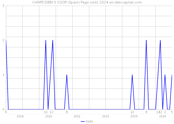 CARPE DIEM S COOP (Spain) Page visits 2024 