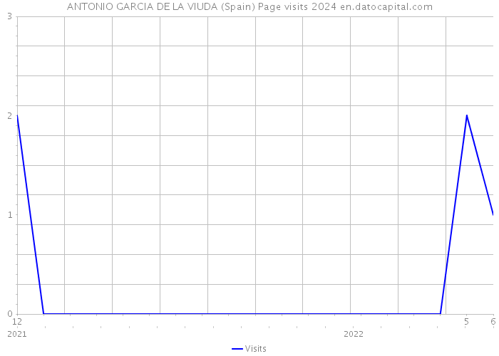 ANTONIO GARCIA DE LA VIUDA (Spain) Page visits 2024 