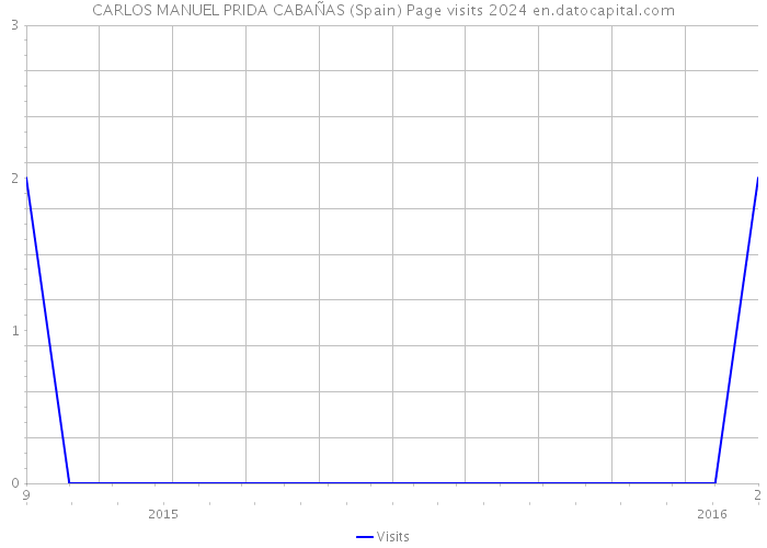 CARLOS MANUEL PRIDA CABAÑAS (Spain) Page visits 2024 