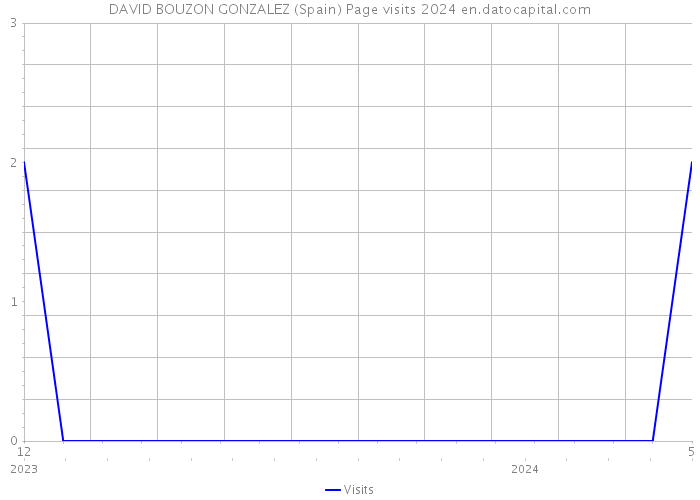 DAVID BOUZON GONZALEZ (Spain) Page visits 2024 