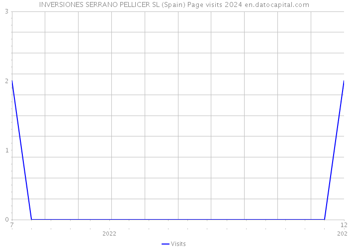 INVERSIONES SERRANO PELLICER SL (Spain) Page visits 2024 