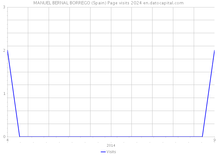 MANUEL BERNAL BORREGO (Spain) Page visits 2024 