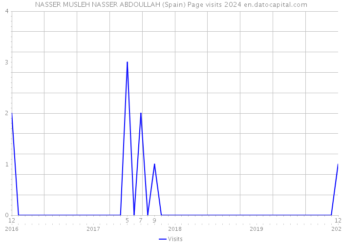 NASSER MUSLEH NASSER ABDOULLAH (Spain) Page visits 2024 