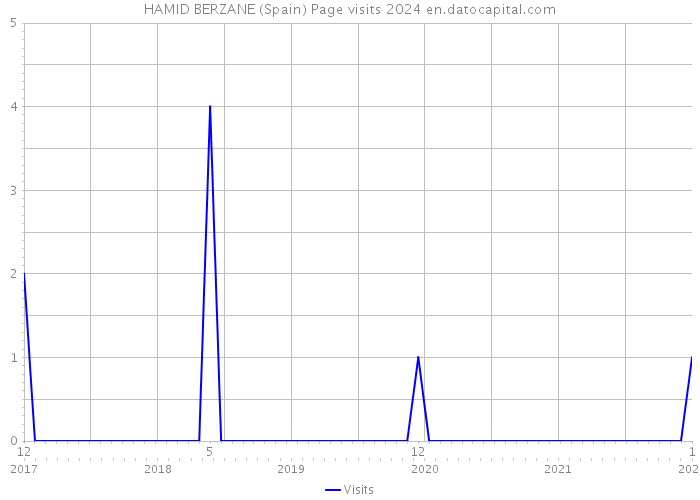 HAMID BERZANE (Spain) Page visits 2024 