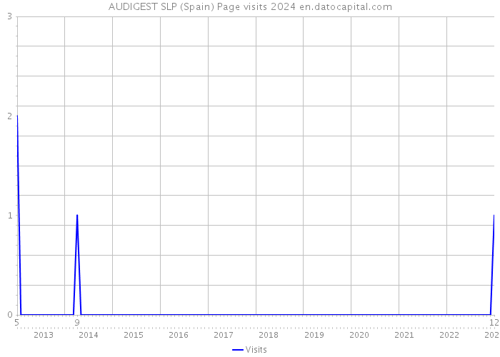 AUDIGEST SLP (Spain) Page visits 2024 