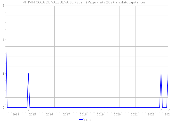 VITIVINICOLA DE VALBUENA SL. (Spain) Page visits 2024 