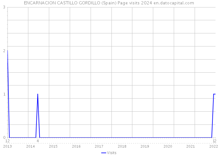 ENCARNACION CASTILLO GORDILLO (Spain) Page visits 2024 
