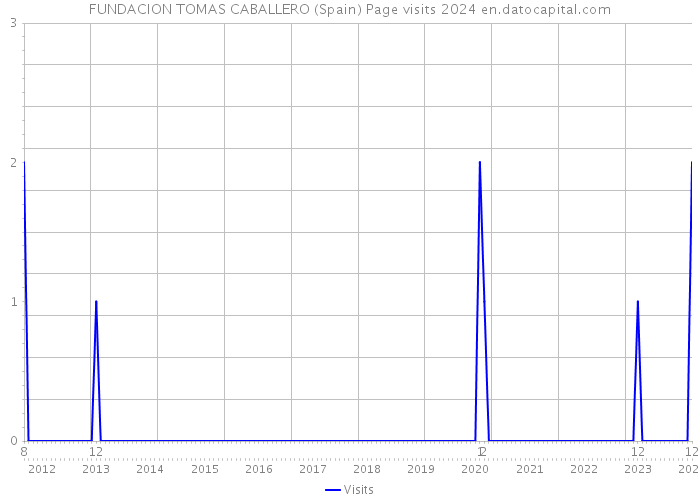 FUNDACION TOMAS CABALLERO (Spain) Page visits 2024 