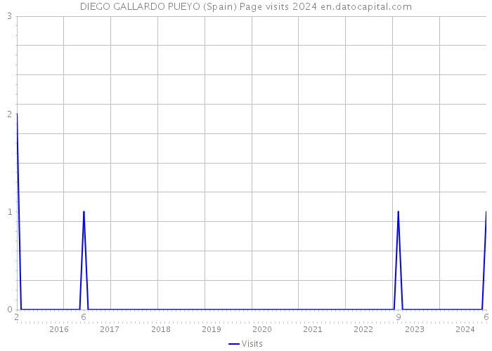 DIEGO GALLARDO PUEYO (Spain) Page visits 2024 