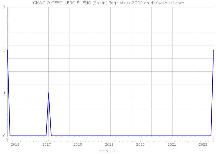 IGNACIO CEBOLLERO BUENO (Spain) Page visits 2024 