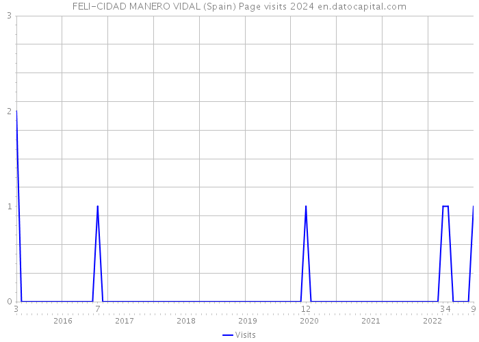 FELI-CIDAD MANERO VIDAL (Spain) Page visits 2024 