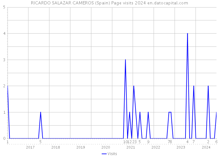 RICARDO SALAZAR CAMEROS (Spain) Page visits 2024 
