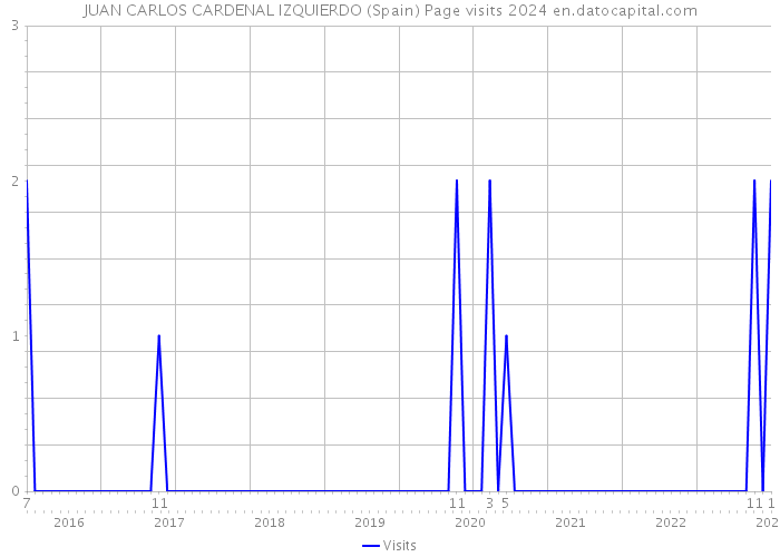 JUAN CARLOS CARDENAL IZQUIERDO (Spain) Page visits 2024 