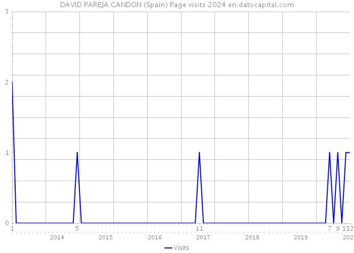 DAVID PAREJA CANDON (Spain) Page visits 2024 