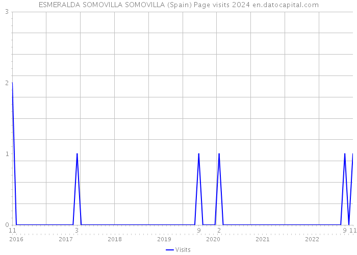 ESMERALDA SOMOVILLA SOMOVILLA (Spain) Page visits 2024 