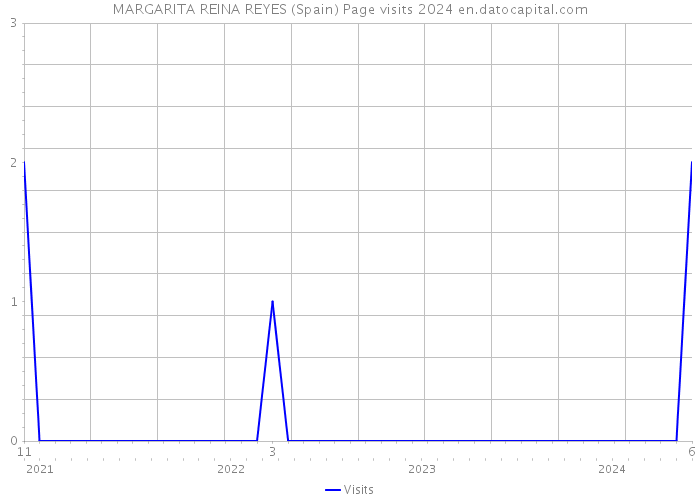 MARGARITA REINA REYES (Spain) Page visits 2024 