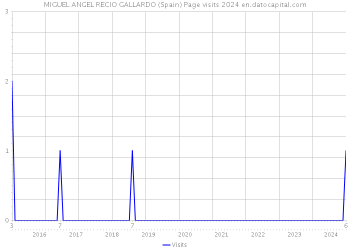 MIGUEL ANGEL RECIO GALLARDO (Spain) Page visits 2024 