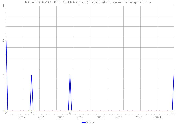 RAFAEL CAMACHO REQUENA (Spain) Page visits 2024 