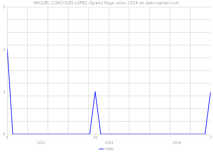 MIGUEL CORCOLES LOPEZ (Spain) Page visits 2024 