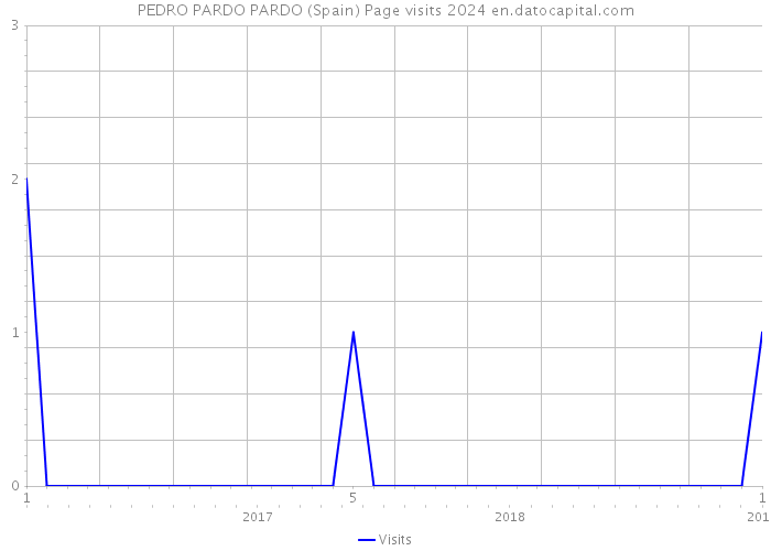 PEDRO PARDO PARDO (Spain) Page visits 2024 