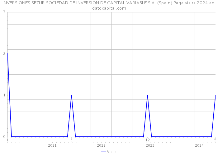 INVERSIONES SEZUR SOCIEDAD DE INVERSION DE CAPITAL VARIABLE S.A. (Spain) Page visits 2024 