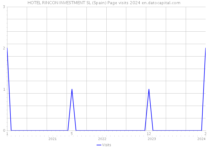 HOTEL RINCON INVESTMENT SL (Spain) Page visits 2024 