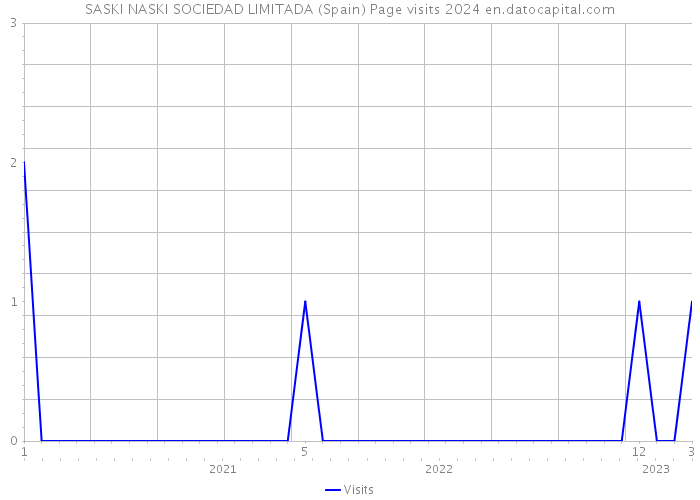 SASKI NASKI SOCIEDAD LIMITADA (Spain) Page visits 2024 