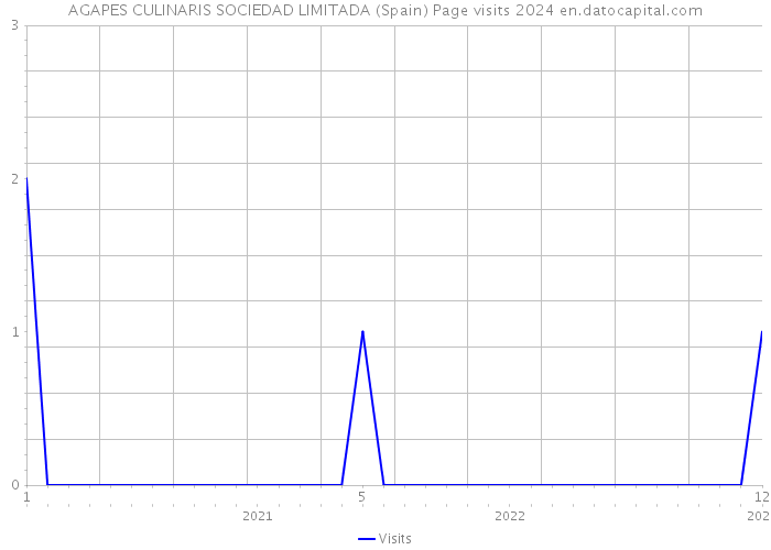 AGAPES CULINARIS SOCIEDAD LIMITADA (Spain) Page visits 2024 