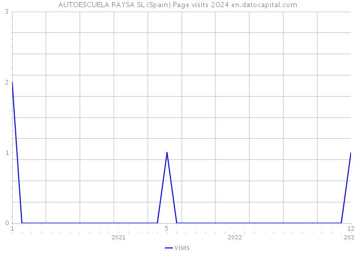 AUTOESCUELA RAYSA SL (Spain) Page visits 2024 