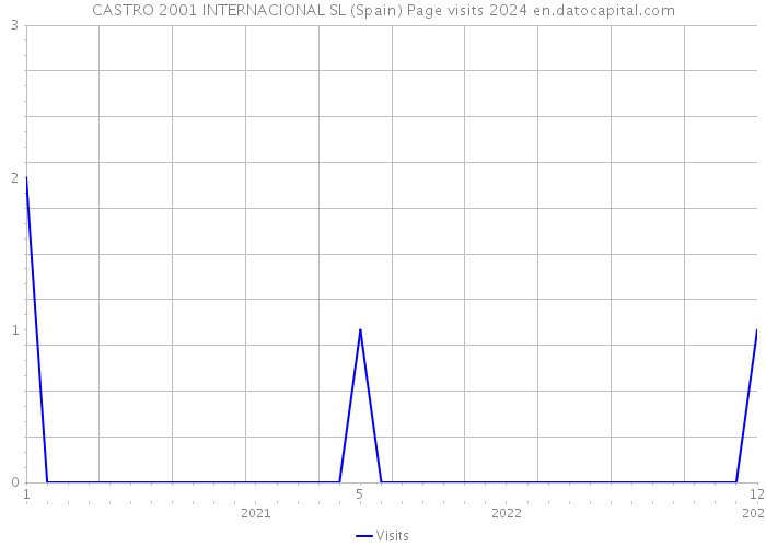 CASTRO 2001 INTERNACIONAL SL (Spain) Page visits 2024 