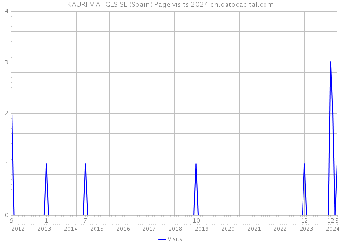 KAURI VIATGES SL (Spain) Page visits 2024 
