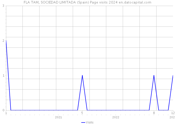 FLA TAM, SOCIEDAD LIMITADA (Spain) Page visits 2024 