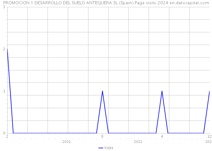PROMOCION Y DESARROLLO DEL SUELO ANTEQUERA SL (Spain) Page visits 2024 