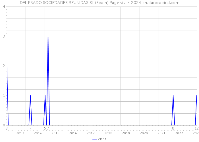 DEL PRADO SOCIEDADES REUNIDAS SL (Spain) Page visits 2024 