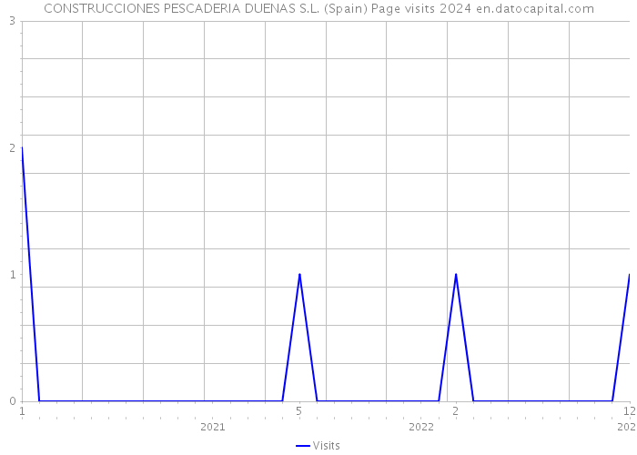 CONSTRUCCIONES PESCADERIA DUENAS S.L. (Spain) Page visits 2024 