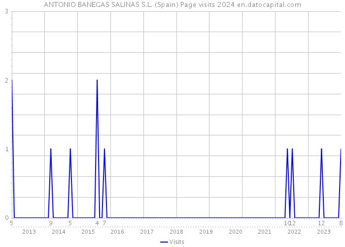 ANTONIO BANEGAS SALINAS S.L. (Spain) Page visits 2024 