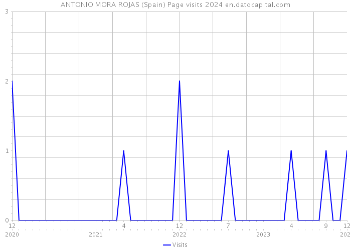ANTONIO MORA ROJAS (Spain) Page visits 2024 