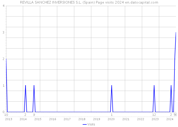 REVILLA SANCHEZ INVERSIONES S.L. (Spain) Page visits 2024 