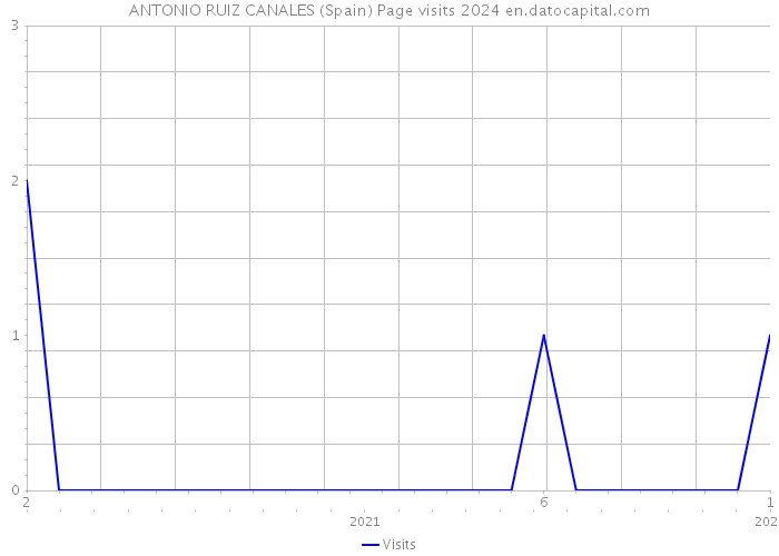 ANTONIO RUIZ CANALES (Spain) Page visits 2024 