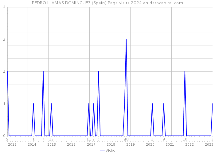 PEDRO LLAMAS DOMINGUEZ (Spain) Page visits 2024 